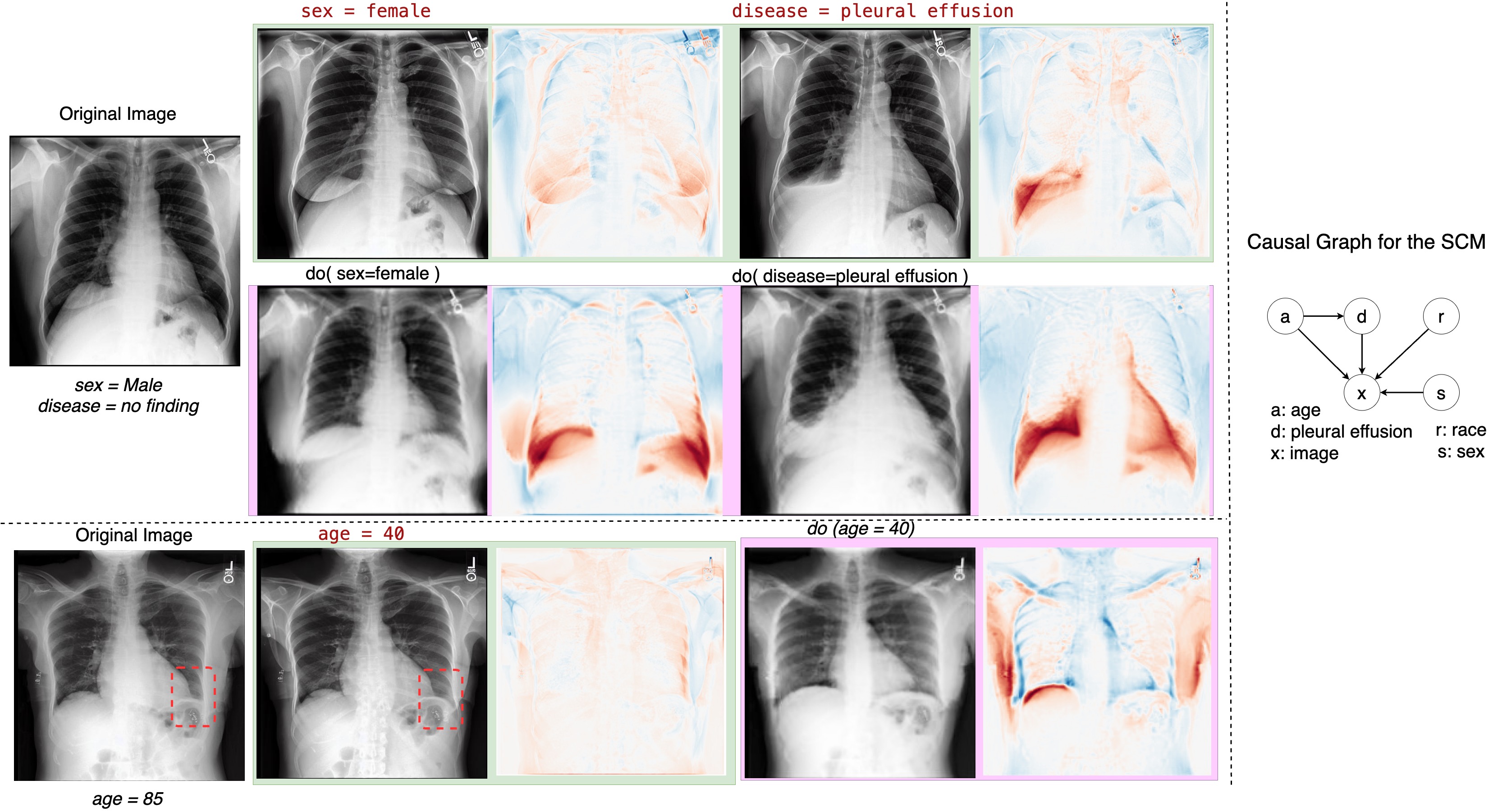 Counterfactual image generation results